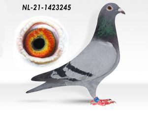 NL-21-1423245